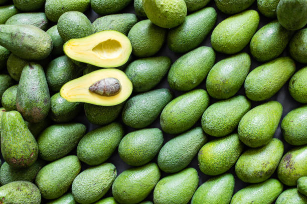 Daily Avocado Consumption benefits