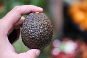 Skillfully Selecting Superb Avocados