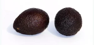 Hass Avocado