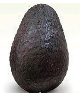 Perfectly ripened avocado with brownish skin and yielding